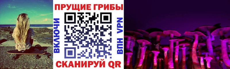 Галлюциногенные грибы Cubensis  Купить где  Ростов 